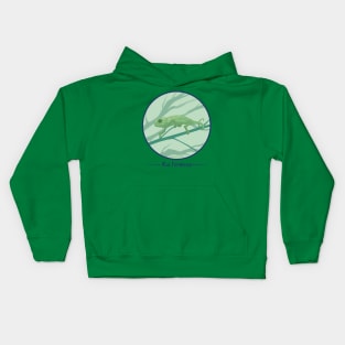 Chameleon Kids Hoodie